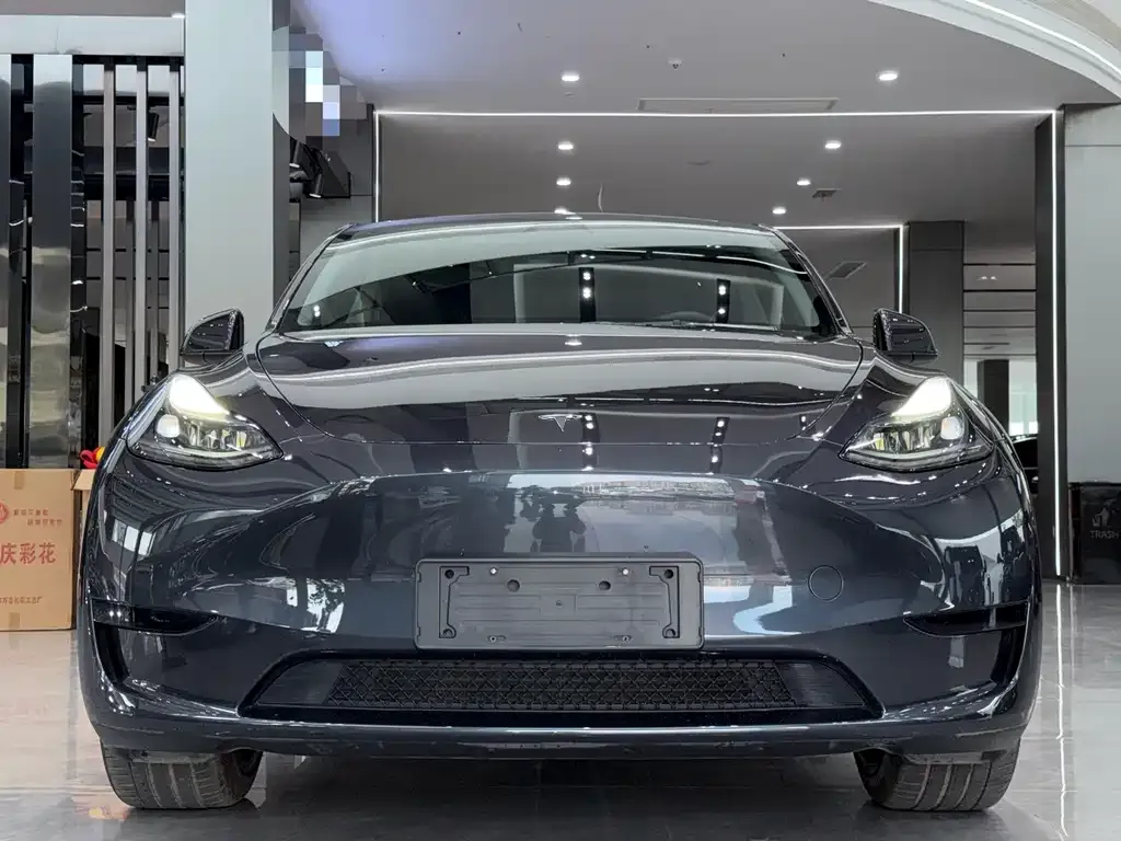 Tesla Model Y — фото 6