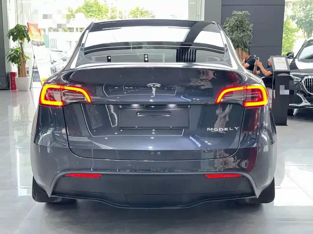 Tesla Model Y — фото 10