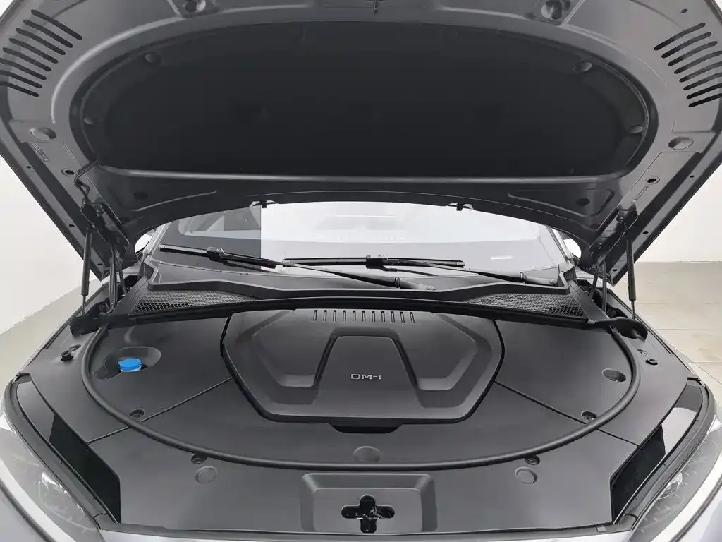 BYD PLUS New Energy — фото 9