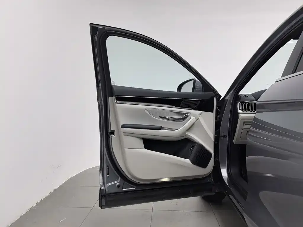 BYD PLUS New Energy — фото 4