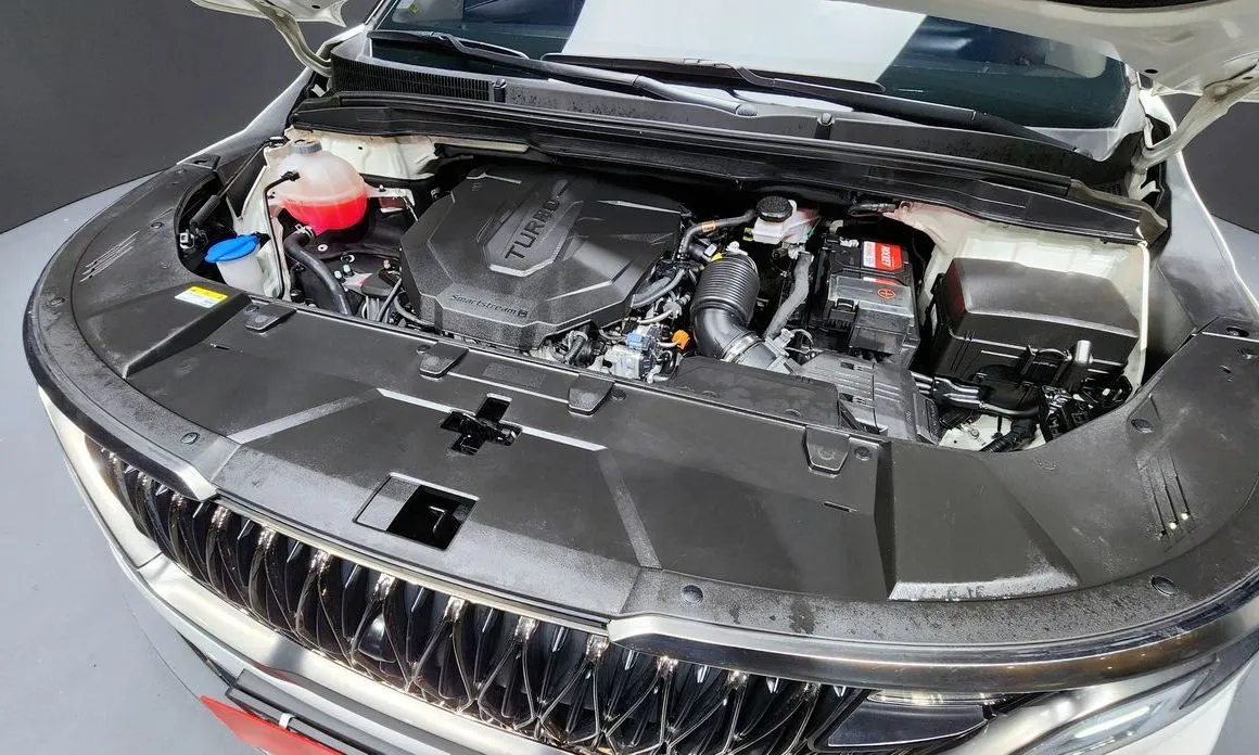 Kia Carnival — фото 10