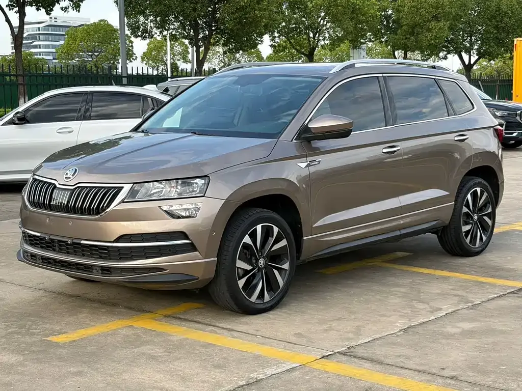 Skoda Karoq — фото 7