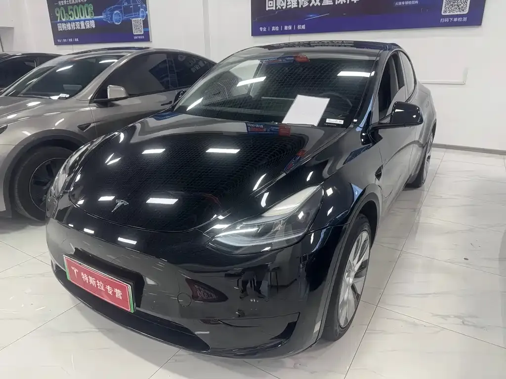 Tesla Model Y — фото 1