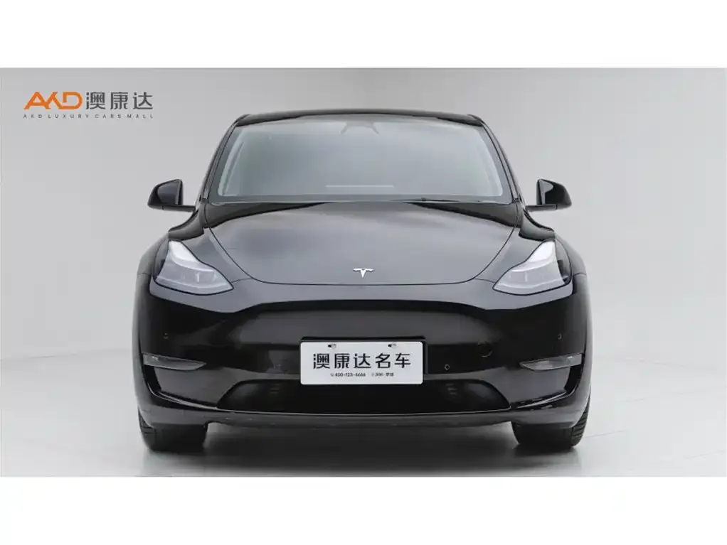 Tesla Model Y — фото 5