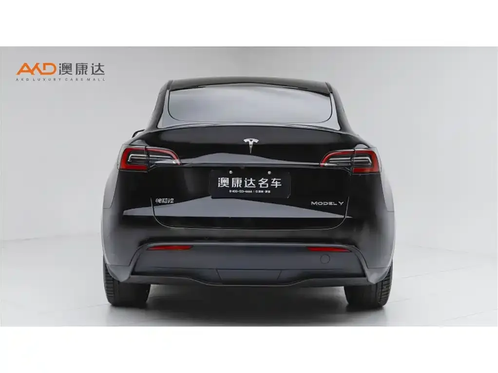 Tesla Model Y — фото 3