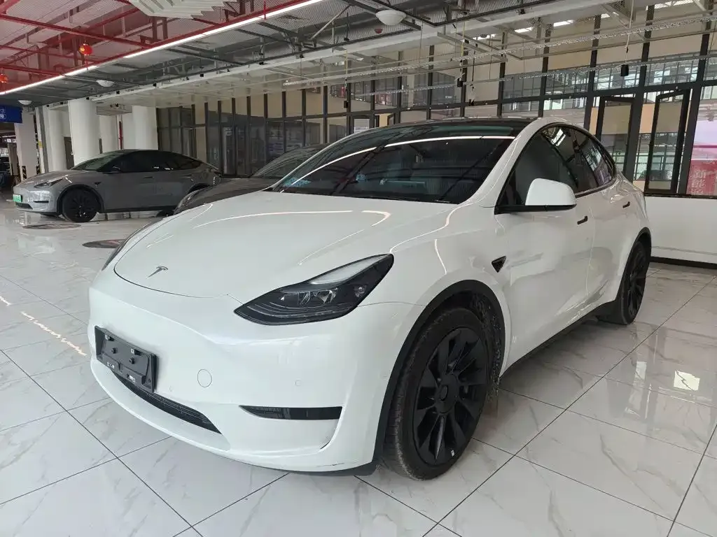 Tesla Model Y — фото 1