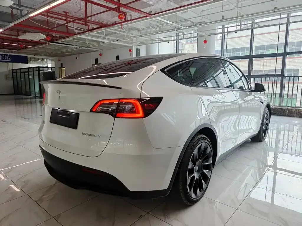 Tesla Model Y — фото 10