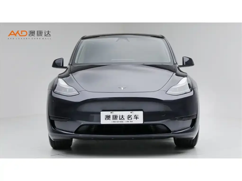 Tesla Model Y — фото 7