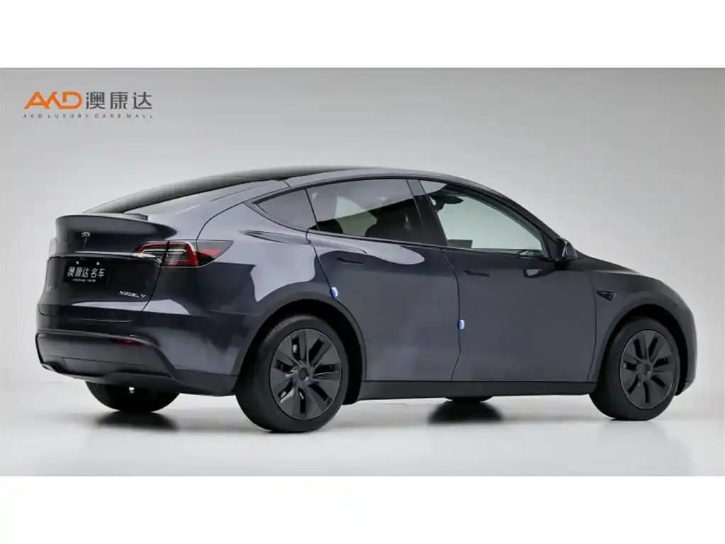 Tesla Model Y — фото 8