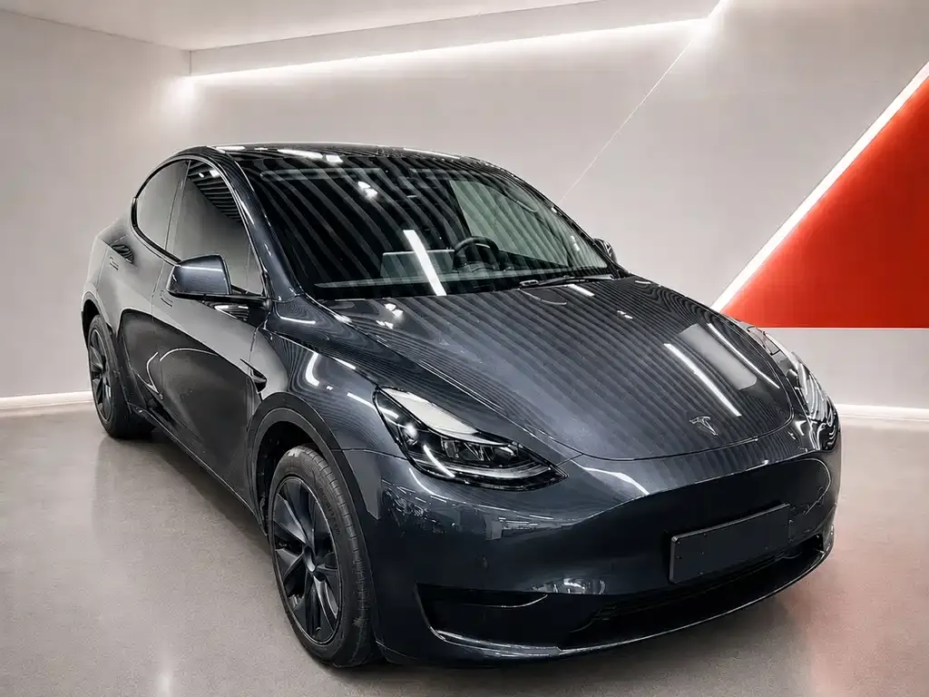 Tesla Model Y — фото 5