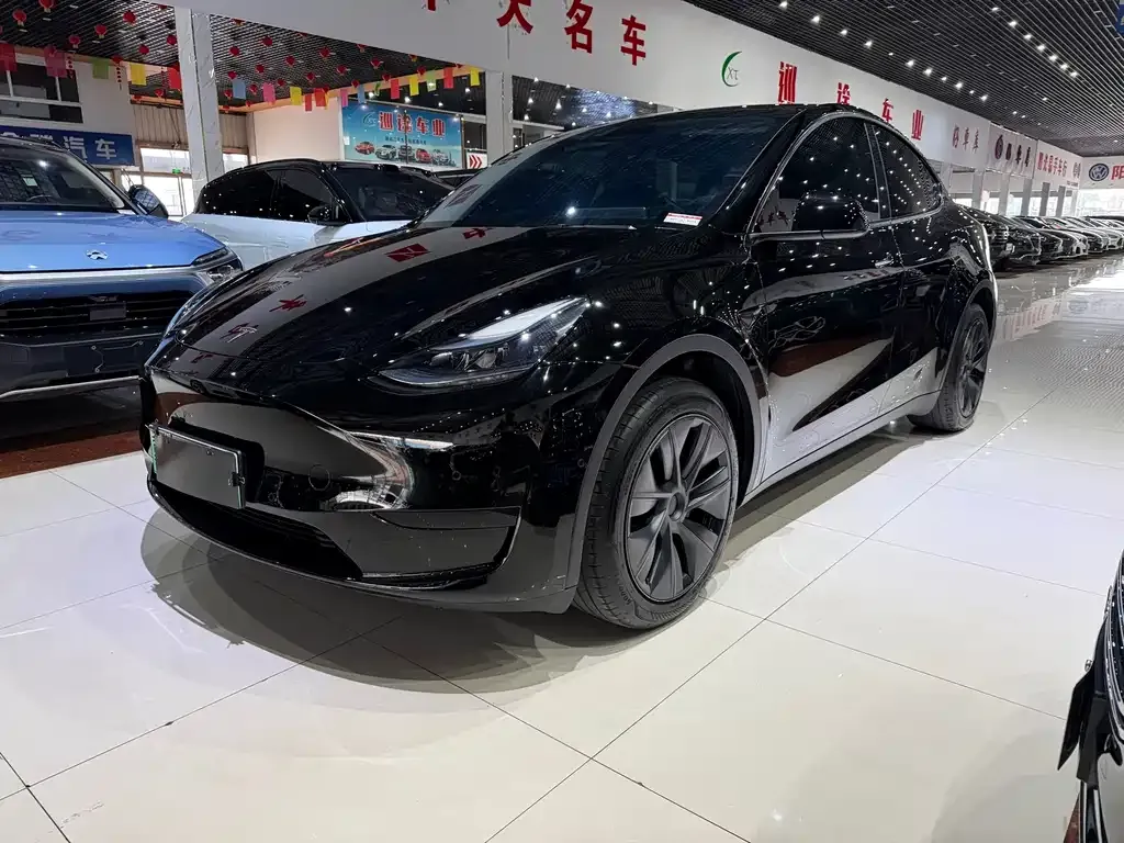 Tesla Model Y — фото 1