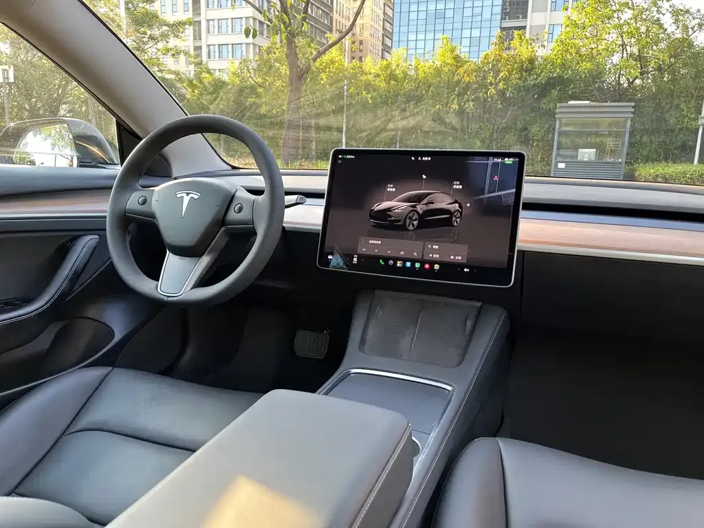 Tesla Model 3 — фото 2