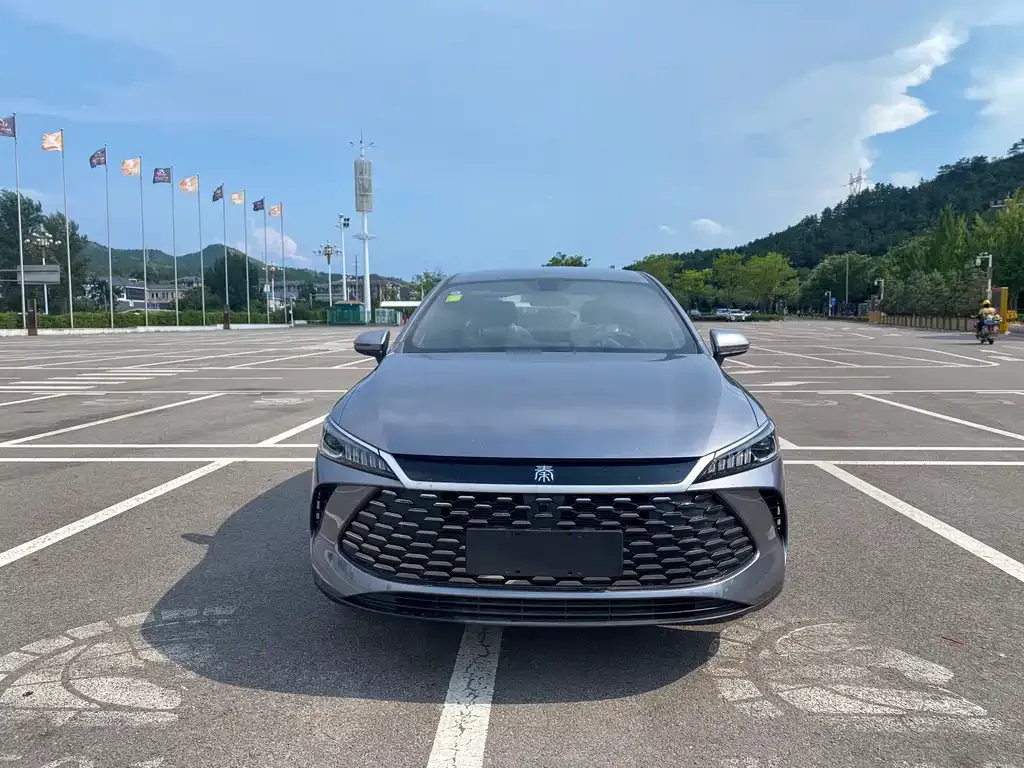 BYD Qin PLUS — фото 6
