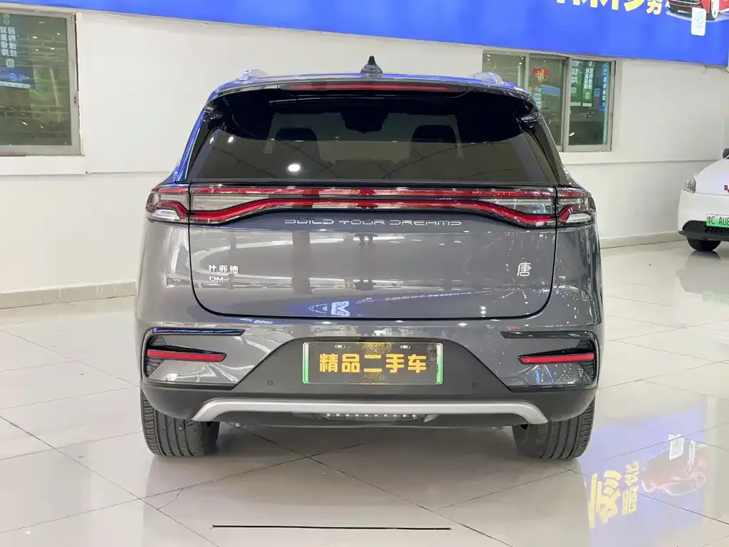 BYD Tang New Energy — фото 3