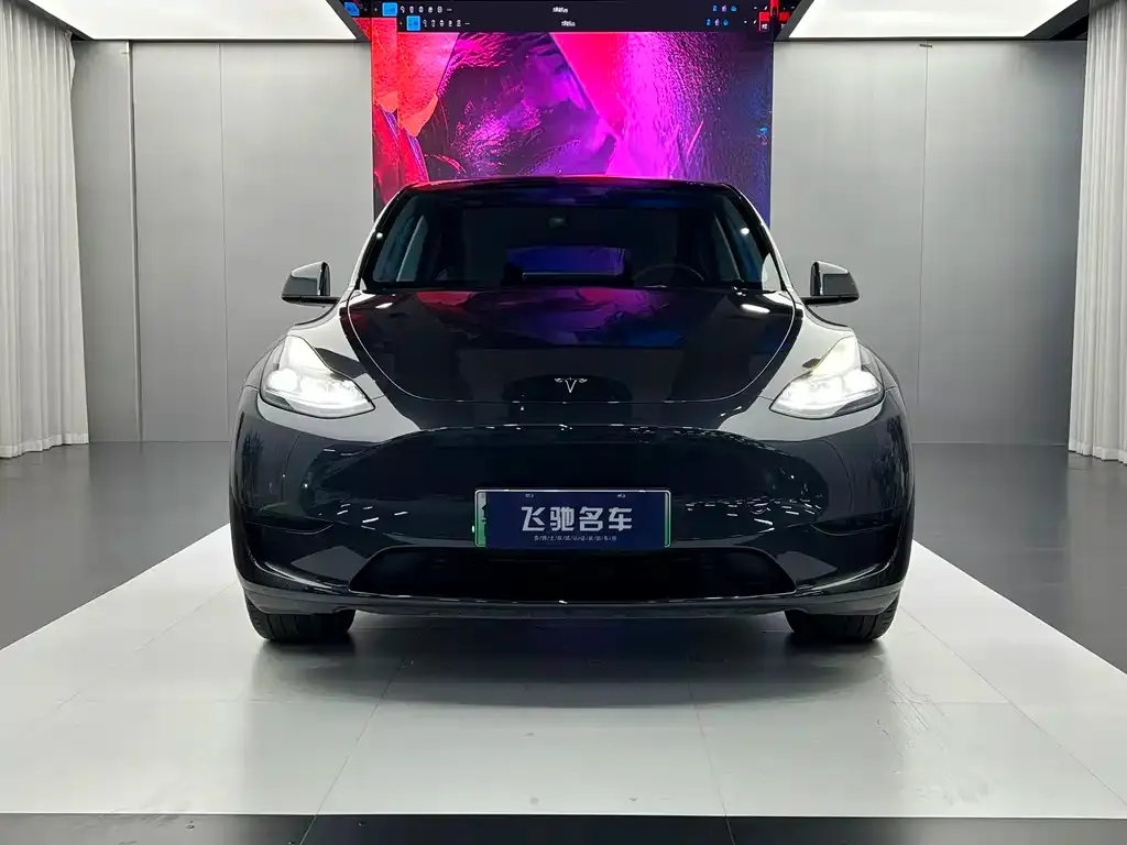 Tesla Model Y — фото 2