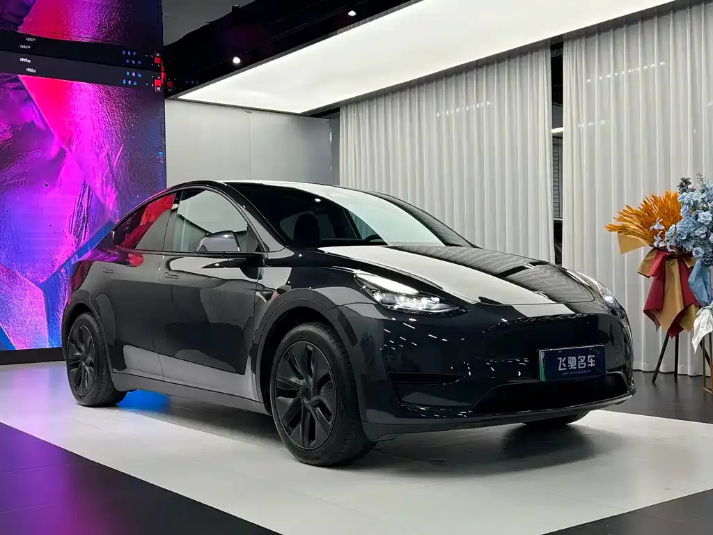 Tesla Model Y — фото 9