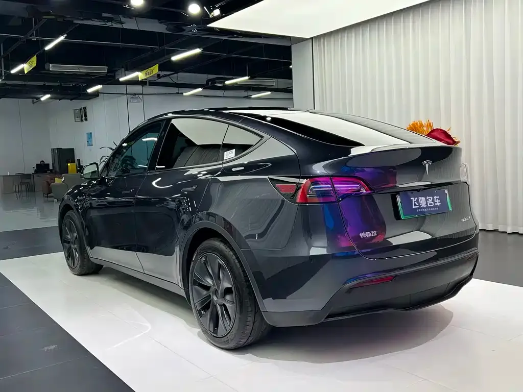 Tesla Model Y — фото 3