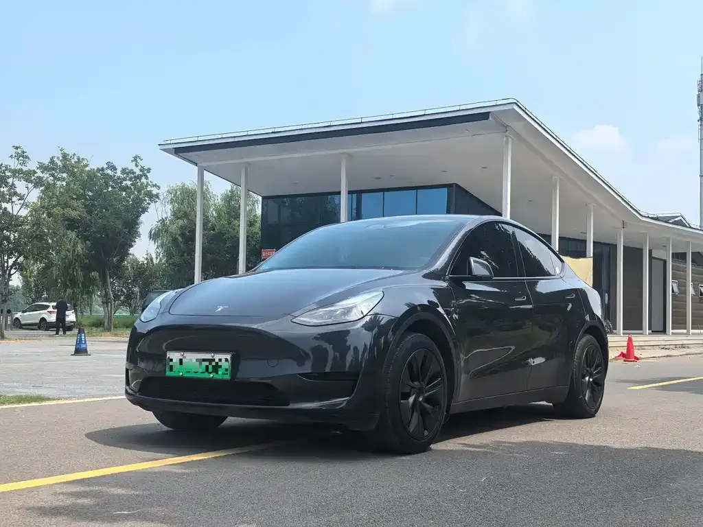 Tesla Model Y — фото 1