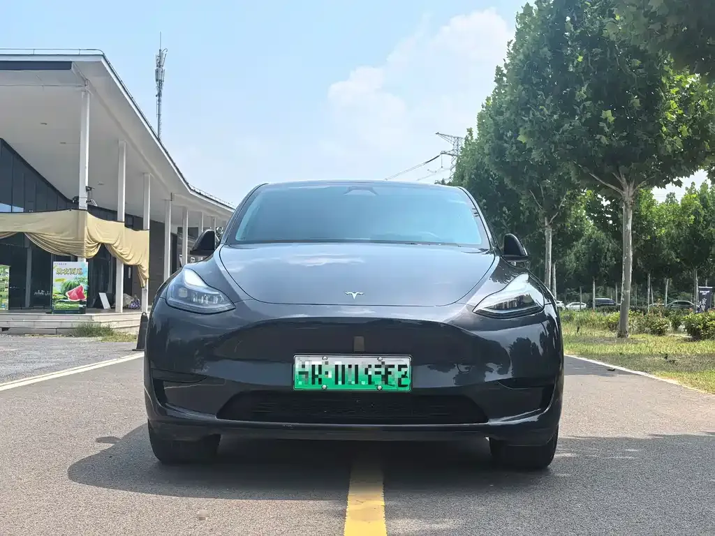 Tesla Model Y — фото 4