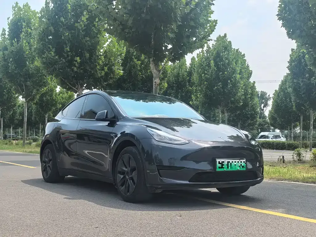 Tesla Model Y — фото 5