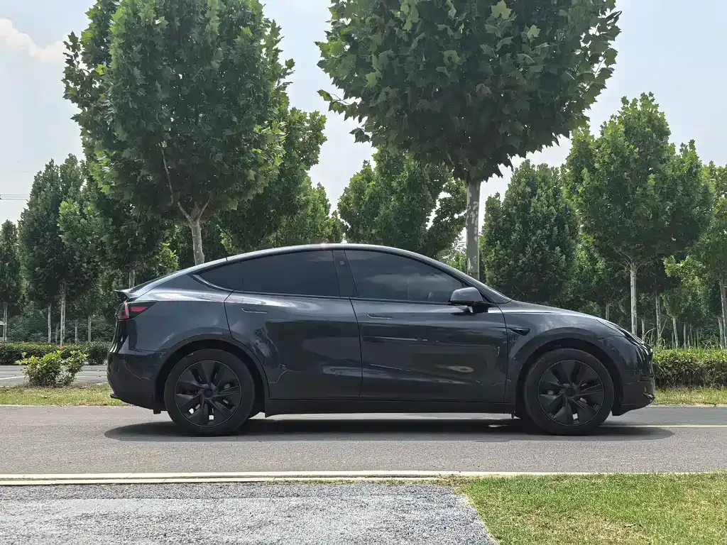 Tesla Model Y — фото 2