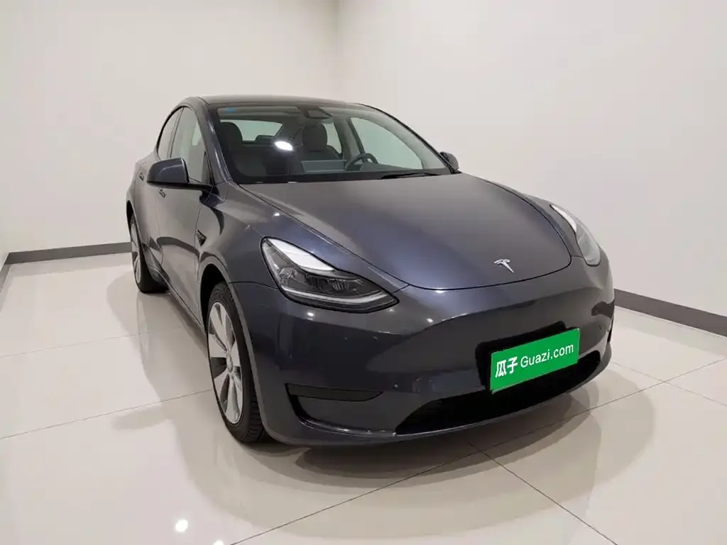 Tesla Model Y — фото 2