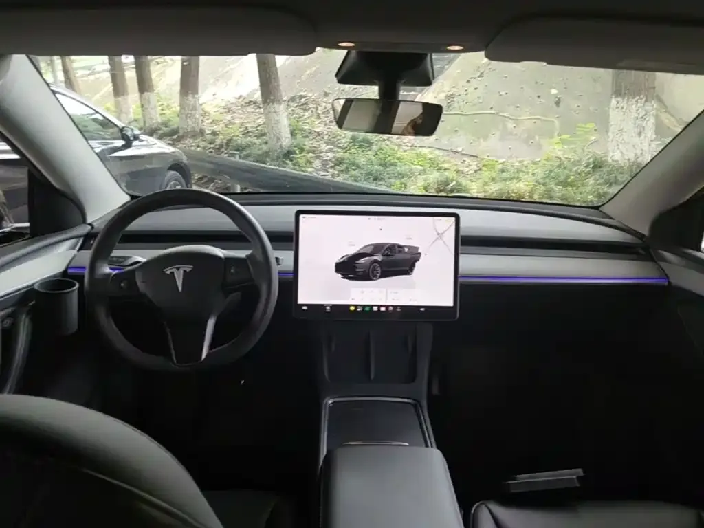 Tesla Model Y — фото 2