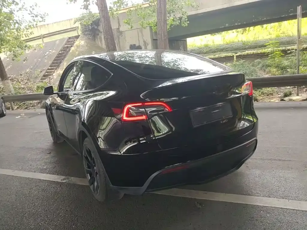 Tesla Model Y — фото 9