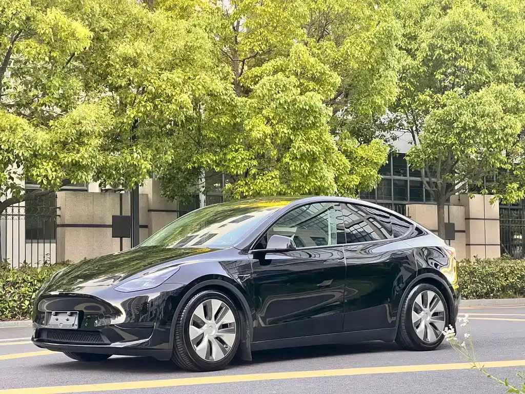 Tesla Model Y — фото 1