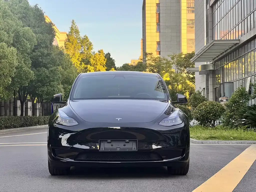 Tesla Model Y — фото 5