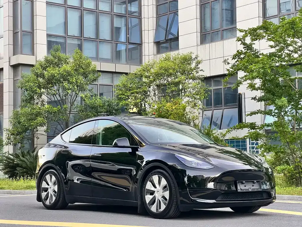 Tesla Model Y — фото 10