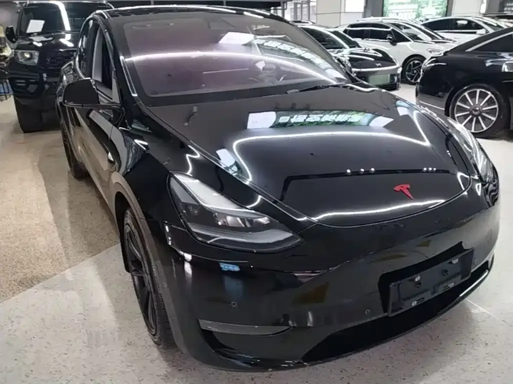 Tesla Model Y — фото 8