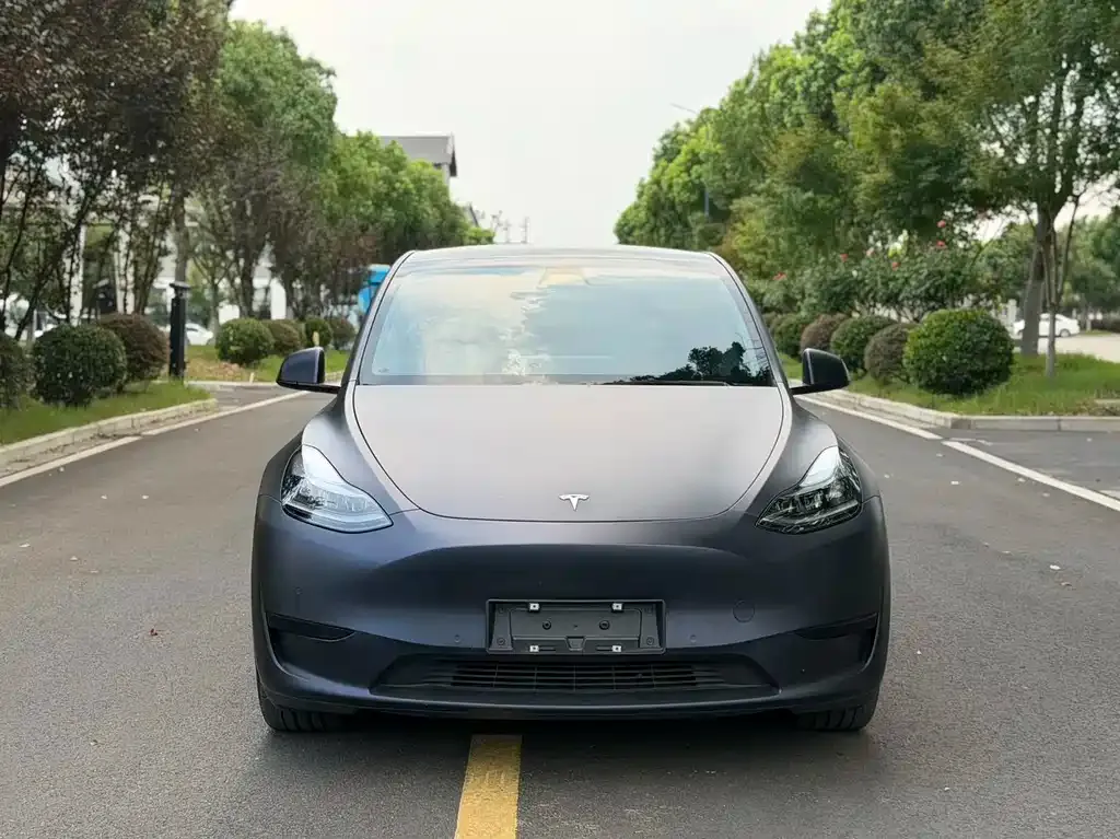 Tesla Model Y — фото 3
