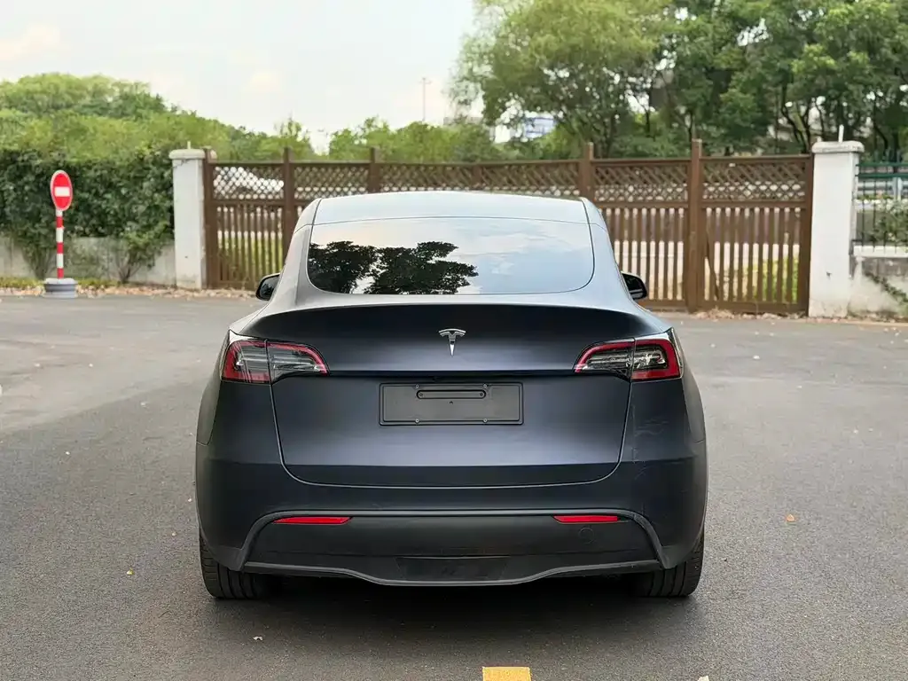 Tesla Model Y — фото 8