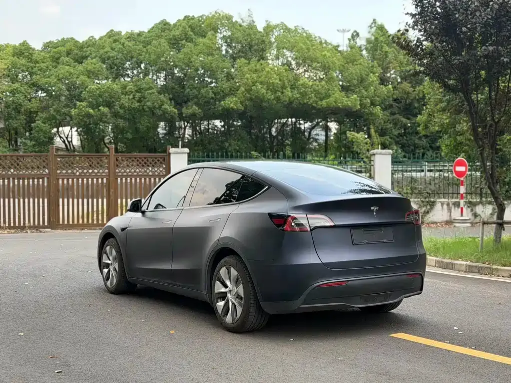 Tesla Model Y — фото 10