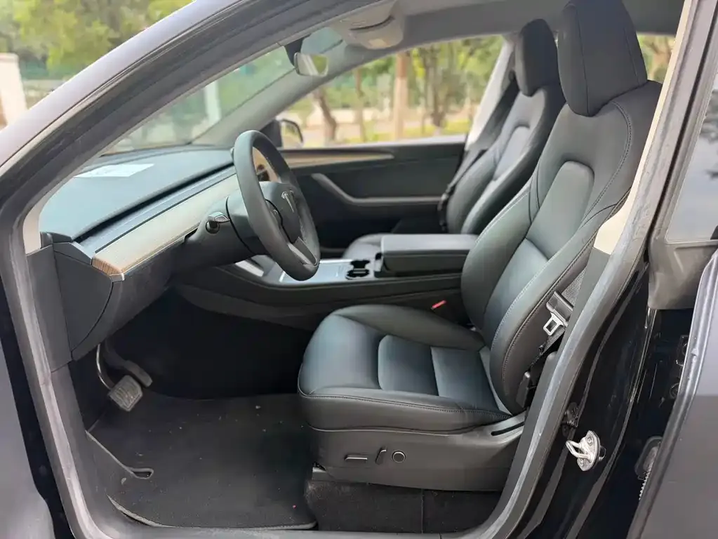 Tesla Model Y — фото 6
