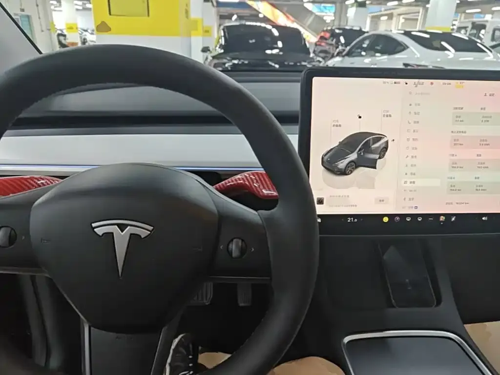 Tesla Model Y — фото 9