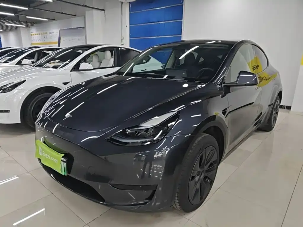 Tesla Model Y — фото 10