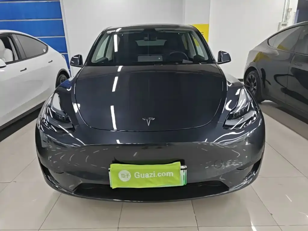Tesla Model Y — фото 2