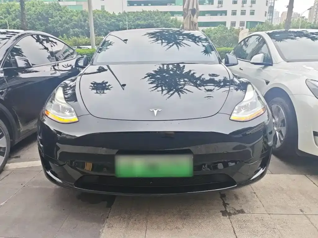 Tesla Model Y — фото 2