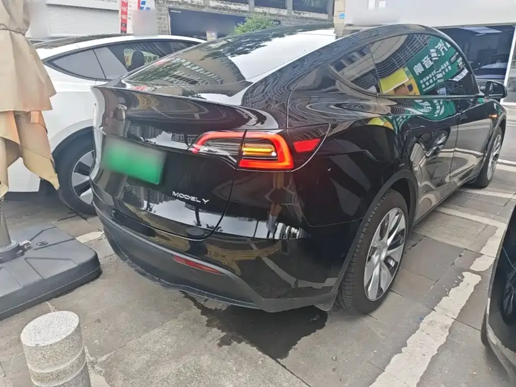 Tesla Model Y — фото 3