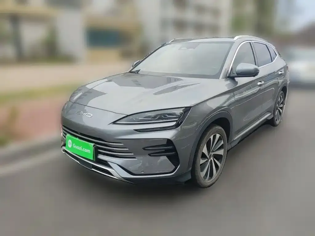 BYD PLUS New Energy — фото 9