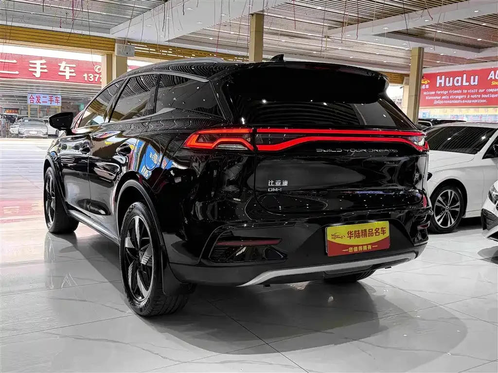 BYD Tang New Energy — фото 3