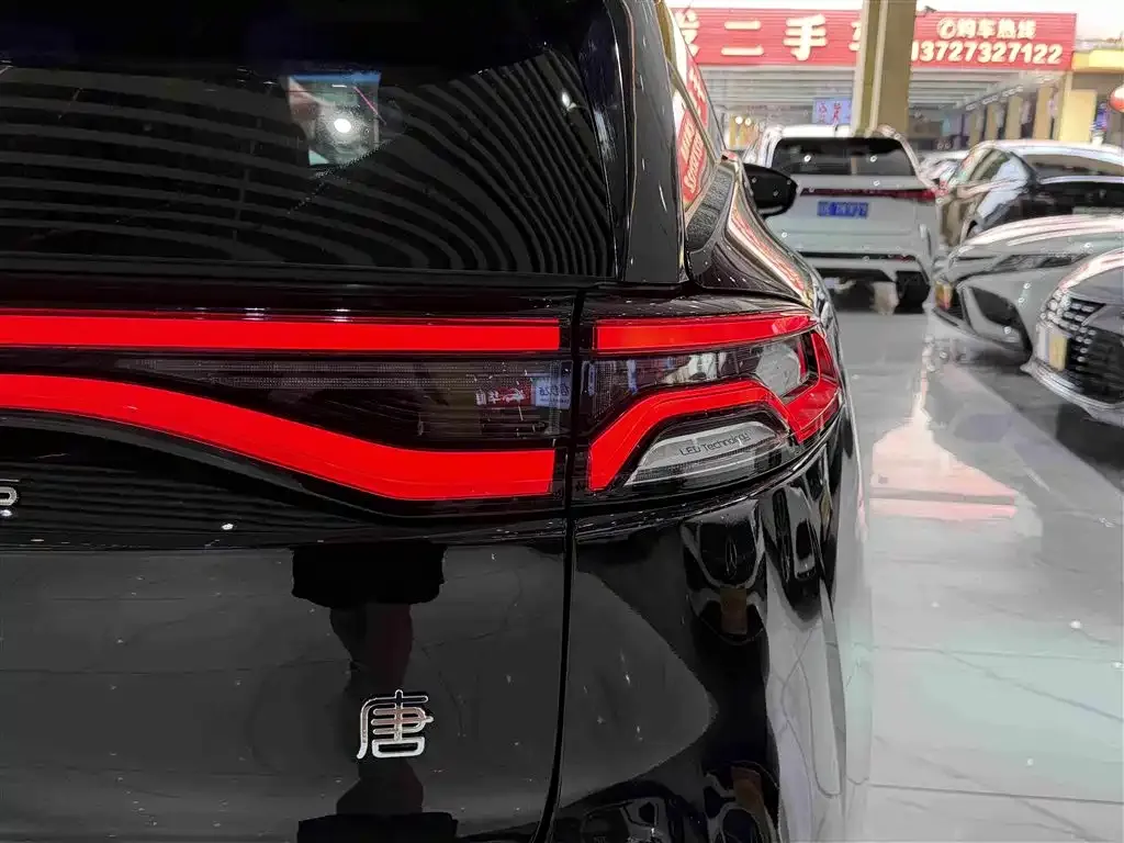 BYD Tang New Energy — фото 6