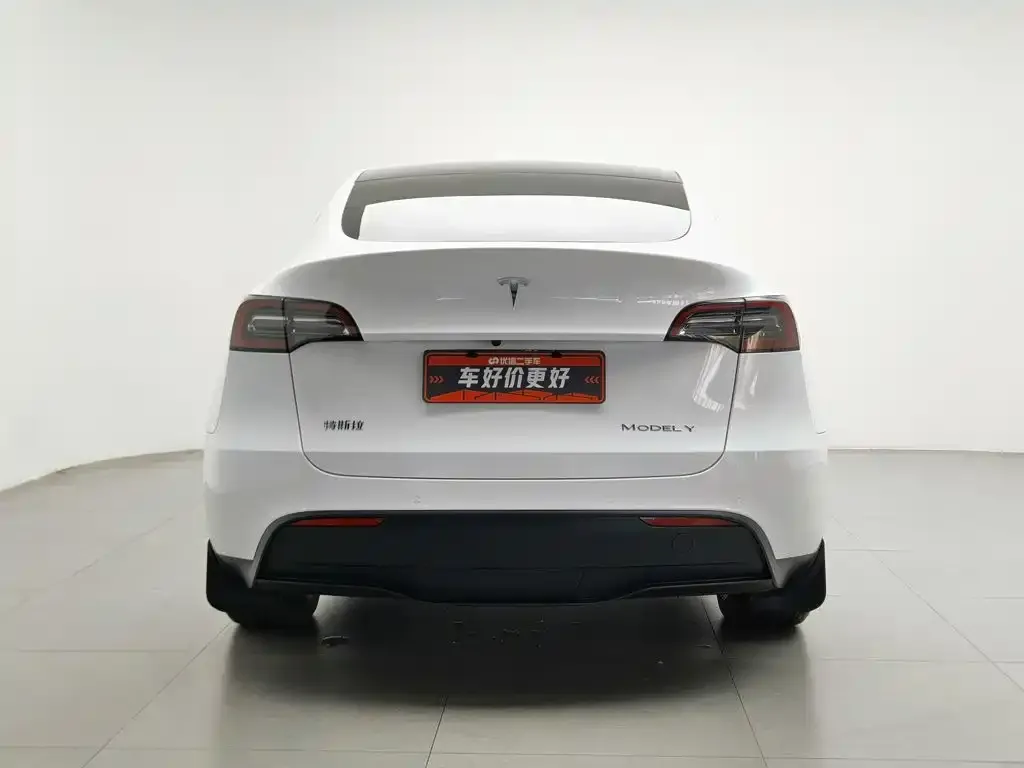 Tesla Model Y — фото 8
