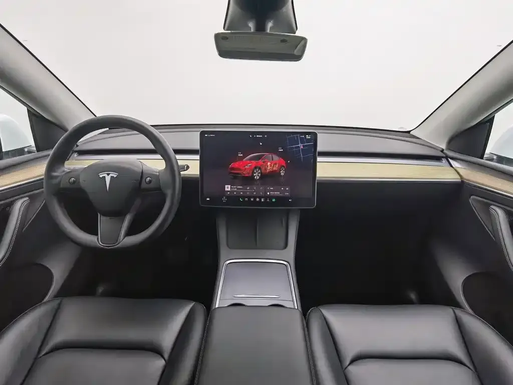 Tesla Model Y — фото 10