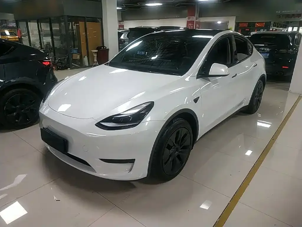 Tesla Model Y — фото 1