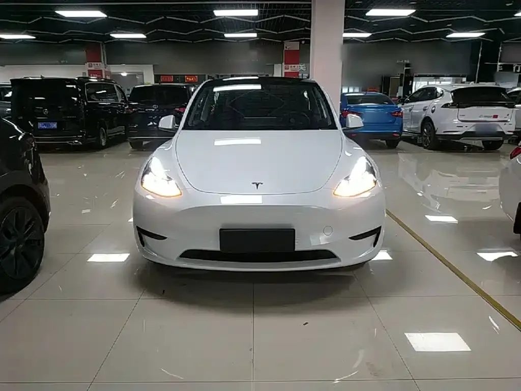 Tesla Model Y — фото 5