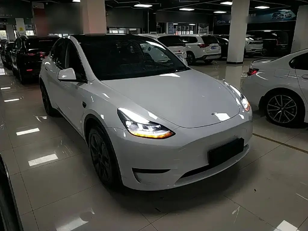Tesla Model Y — фото 6