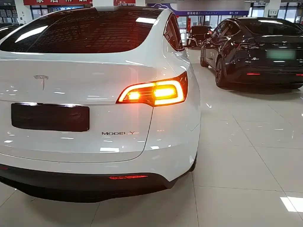 Tesla Model Y — фото 10